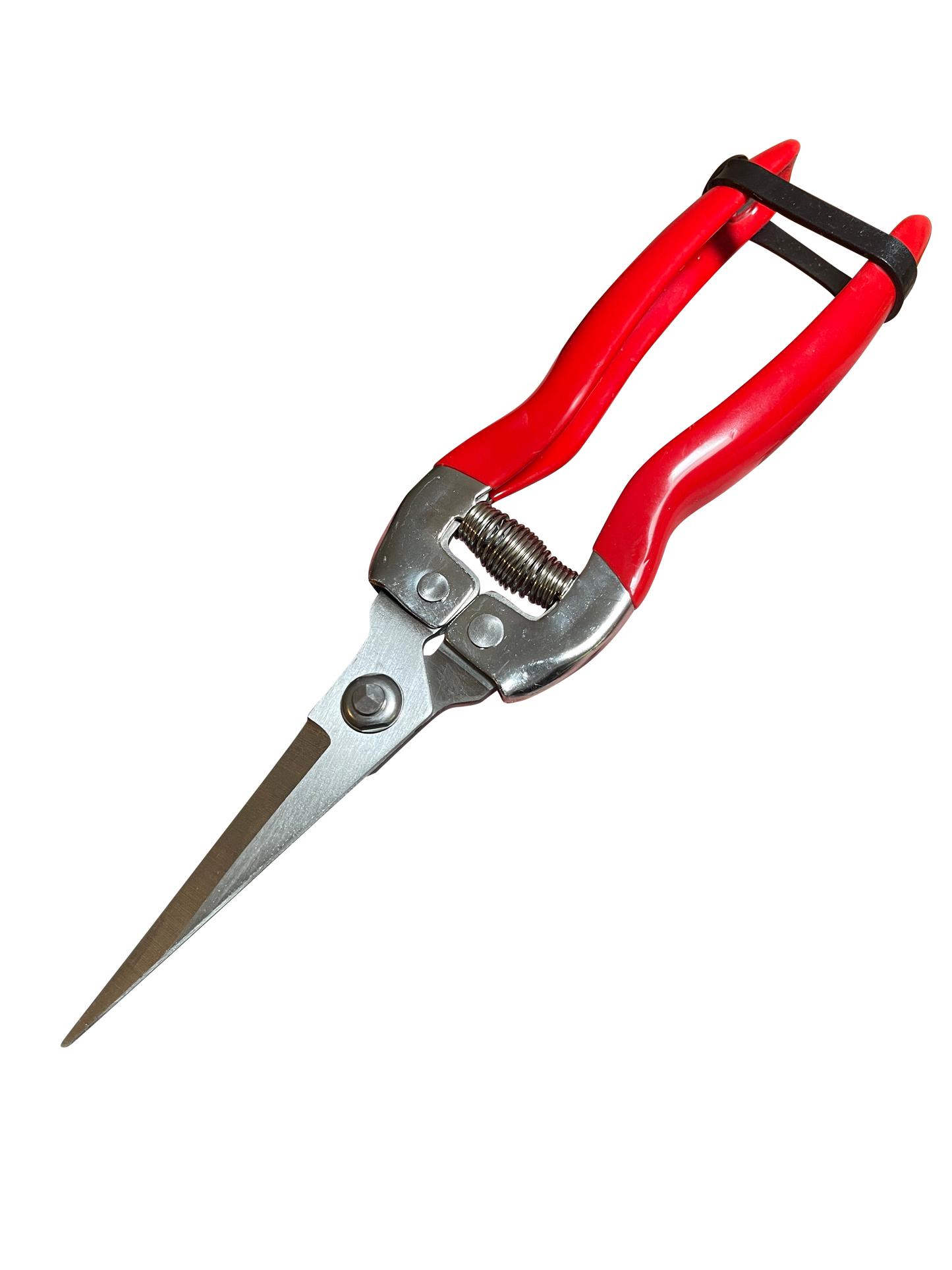 Garden Guru Stainless Steel Pruning Shears – Precision Garden Snips for Plants, Herbs & Flowers