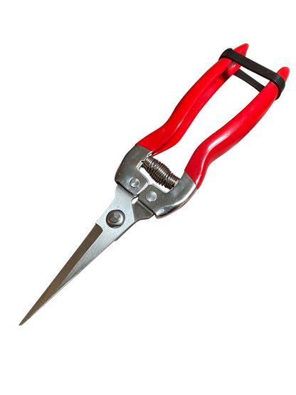 Garden Guru Stainless Steel Pruning Shears – Precision Garden Snips for Plants, Herbs & Flowers