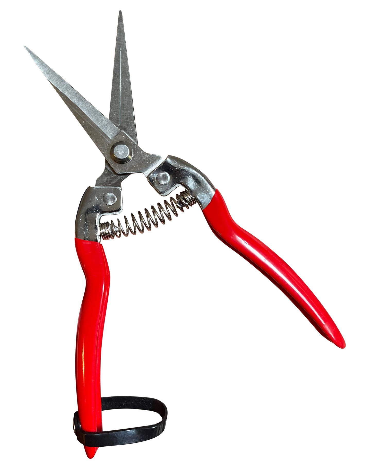 Garden Guru Stainless Steel Pruning Shears – Precision Garden Snips for Plants, Herbs & Flowers