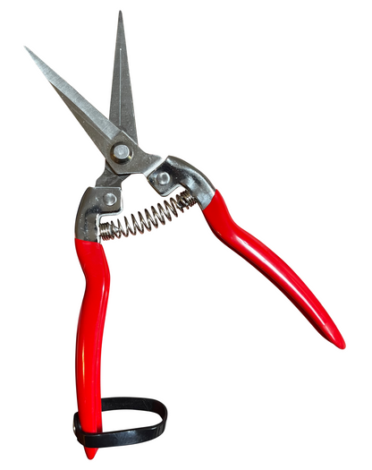 Garden Guru Stainless Steel Pruning Shears – Precision Garden Snips for Plants, Herbs & Flowers