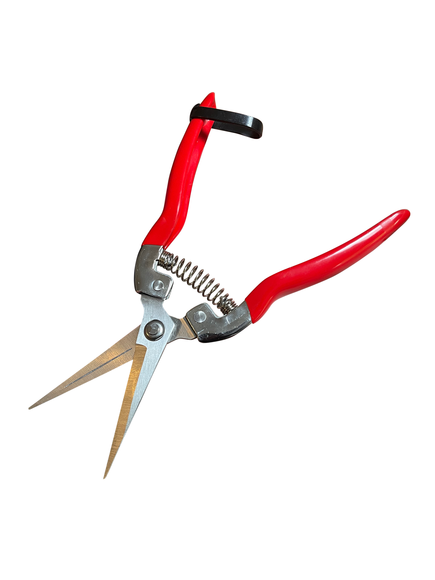 Garden Guru Stainless Steel Pruning Shears – Precision Garden Snips for Plants, Herbs & Flowers