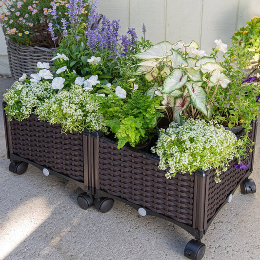 Modern 2-Piece Raised Garden Planter Box Set with Wheels (PP Rattan)
