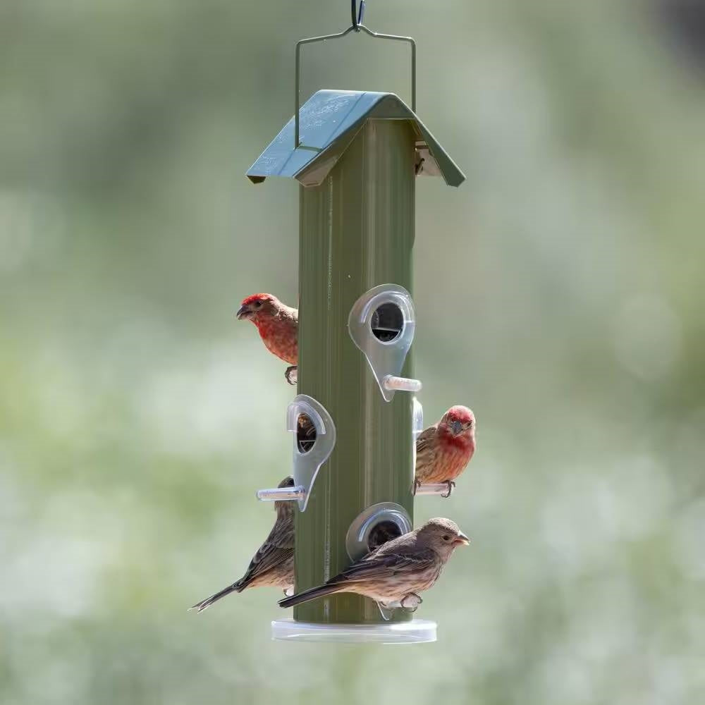 Olive Green Metal Tube Bird Feeder – 6-Port Outdoor Favorite