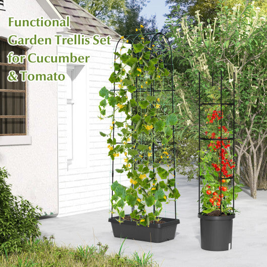 2 Pack Garden Planters with Trellis and Cage