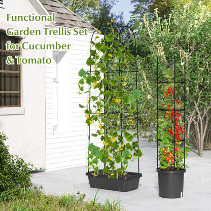 2 Pack Garden Planters with Trellis and Cage