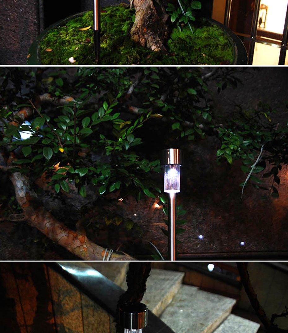 Garden Premium LED Solar Luxury Stainless Steel Lights For Yard Pathway