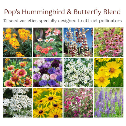 Pop’s Hummingbird & Butterfly Wildflower Seed Mix – Pollinator Garden Blend