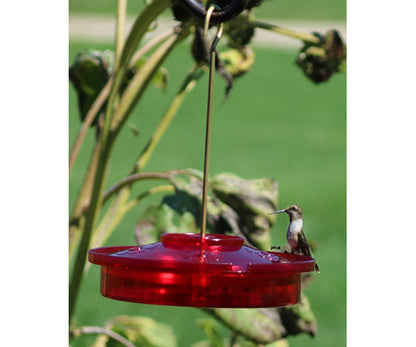 Songbird Essentials Hummingbird Haven Feeder – Easy Clean Top-Fill 16 oz Nectar Feeder with Ant Moat & 360° Viewing