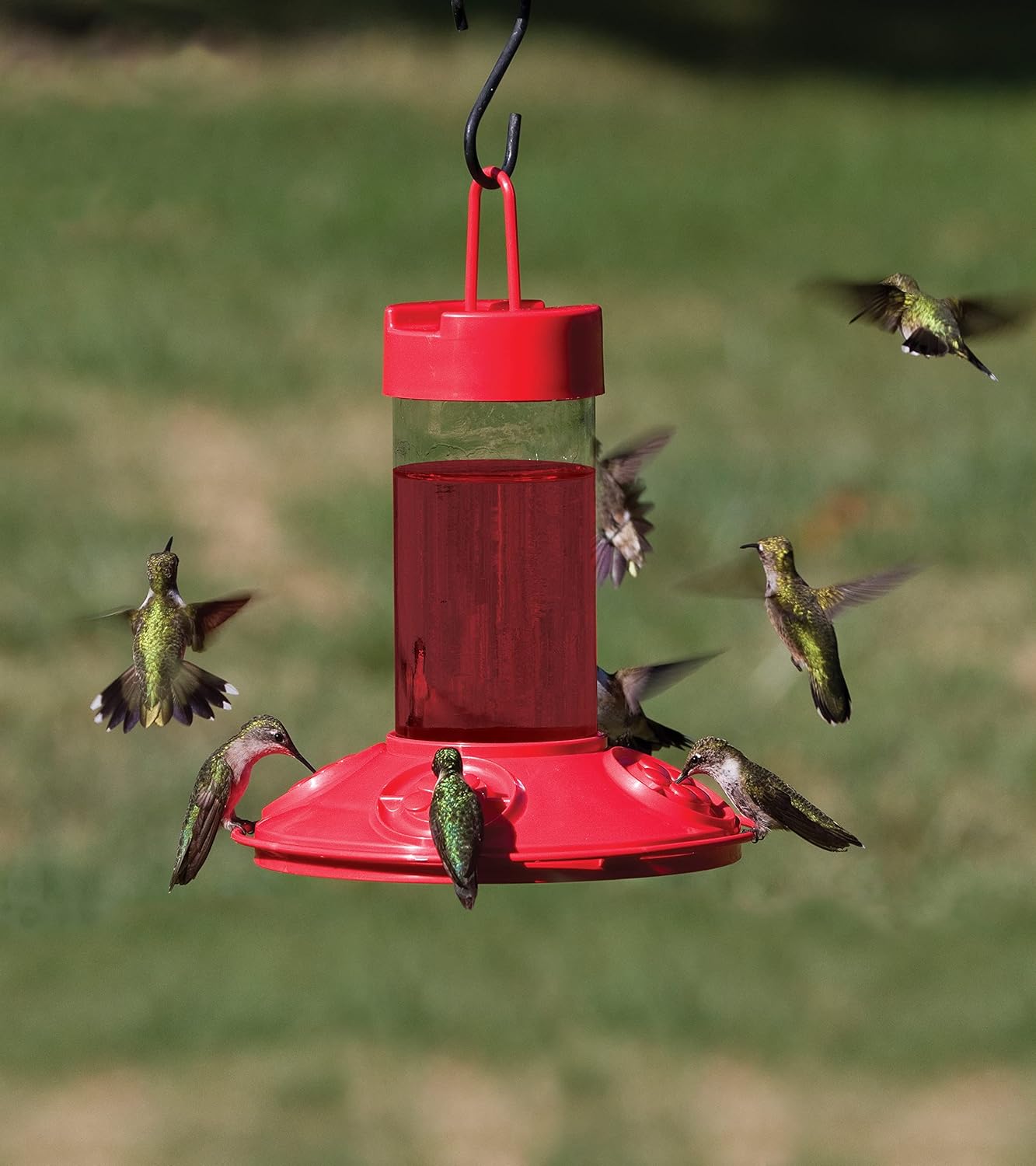 Elegant Glass Hummingbird Feeder with Leak-Proof Base