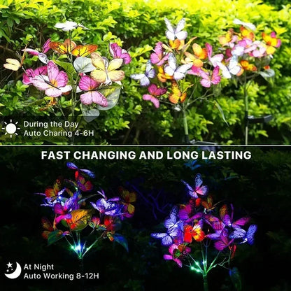 Solar Garden Lights for Outdoor Decor | Waterproof LED Landscape Lighting | Alta's Garden