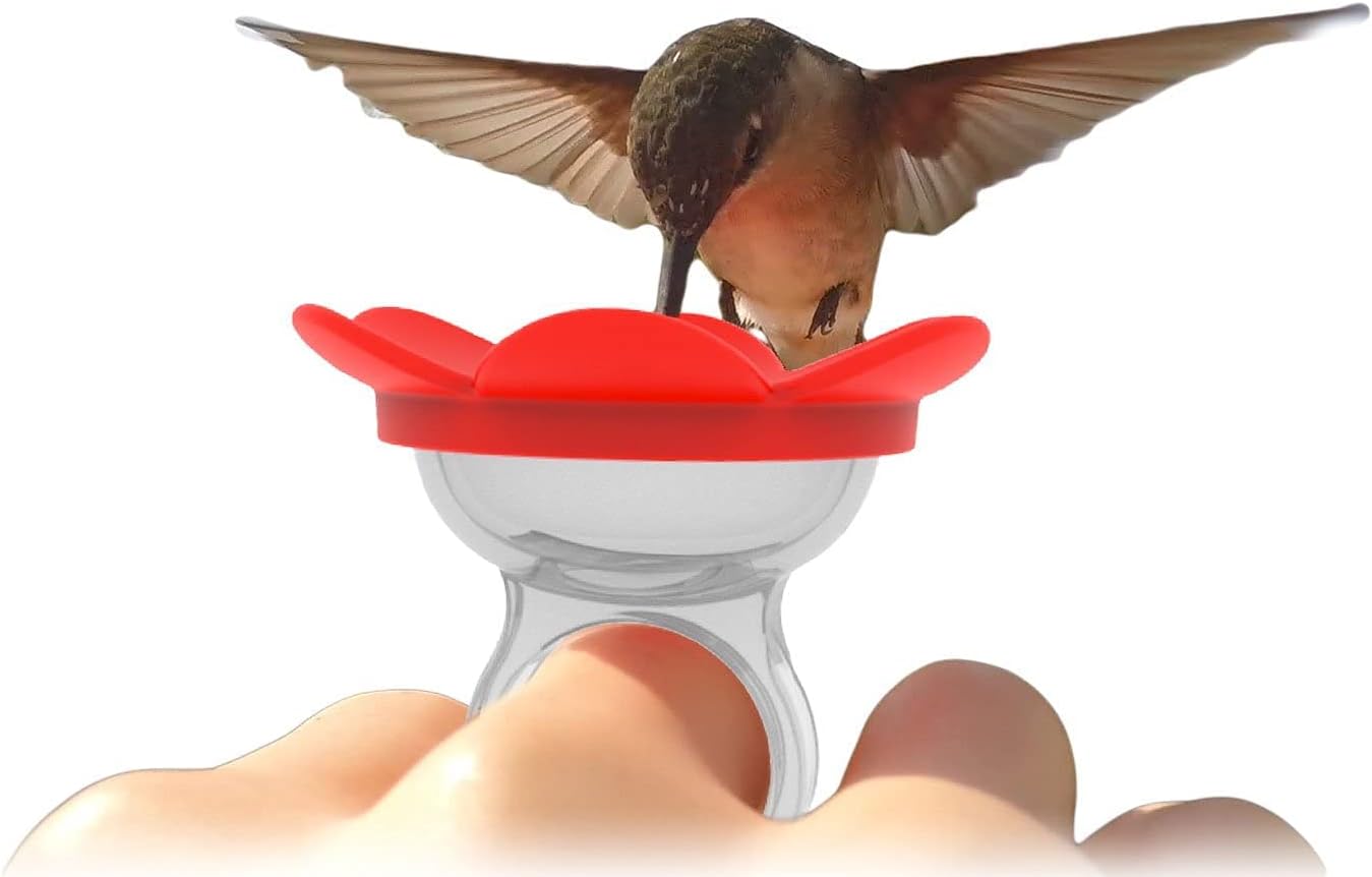 Hummer Ring – Hand-Feeding Hummingbird Nectar Ring